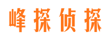 文登侦探